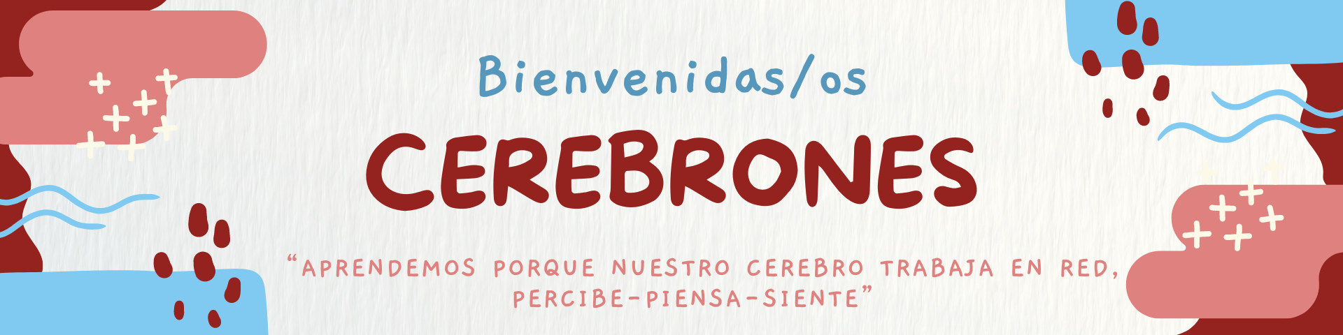 CEREBRONES 6to 2024